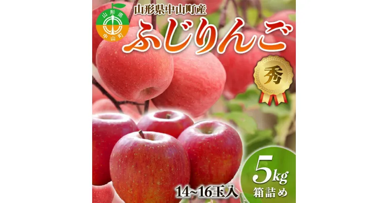 【ふるさと納税】【2024年先行予約】果物の郷 中山町からお届けします！「ふじりんご」期間限定 数量限定 リンゴ 林檎 F4A-0059