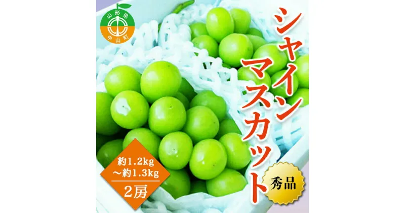 【ふるさと納税】【2025年先行予約】山形県中山町産シャインマスカット 秀品 約1.2kg～約1.3kg(2房) 期間限定 数量限定 山形県産 フルーツ 高級 贅沢 ぶどう ブドウ 葡萄 F4A-0103