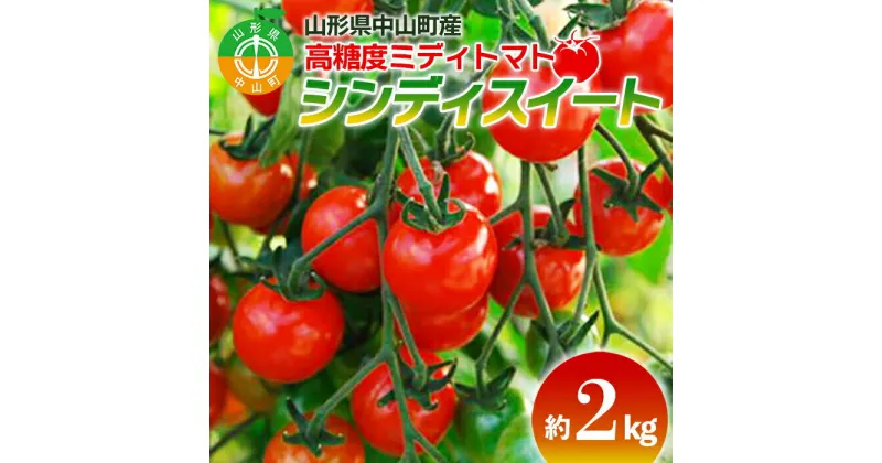 【ふるさと納税】【2025年先行予約】山形県中山町産高糖度ミディトマト《シンディスイート》約2kg 期間限定 数量限定 濃厚 リコピン 甘い おやつ サラダ 完熟 新鮮 F4A-0111