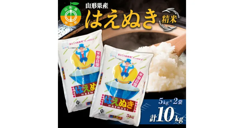 【ふるさと納税】山形県産 はえぬき 精米5kg×2袋 計10kg ブランド米 こめ ご飯 ごはん 白米 F4A-0500