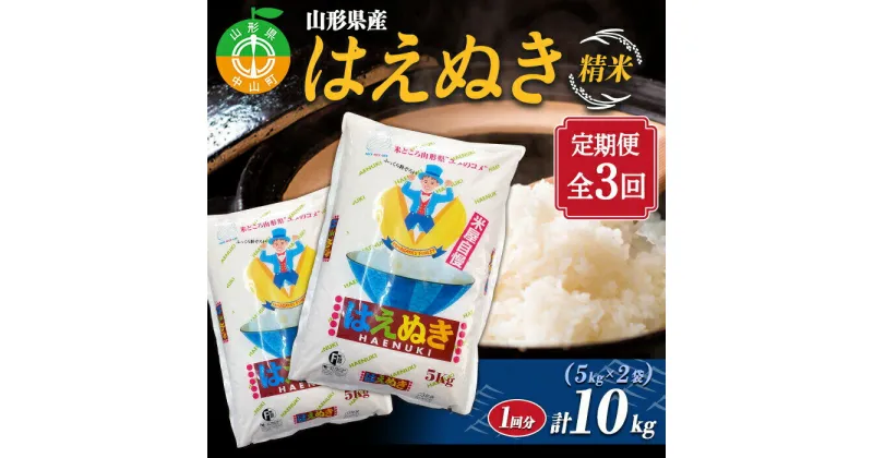 【ふるさと納税】【定期便】山形県産 はえぬき 精米5kg×2袋 計10kg×3回 ブランド米 こめ ご飯 ごはん 白米 毎月届くF4A-0504