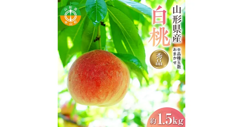 【ふるさと納税】 『令和7年産先行受付』 山形県産白桃※品種玉数おまかせ 秀品 約1.5kg F4A-0459