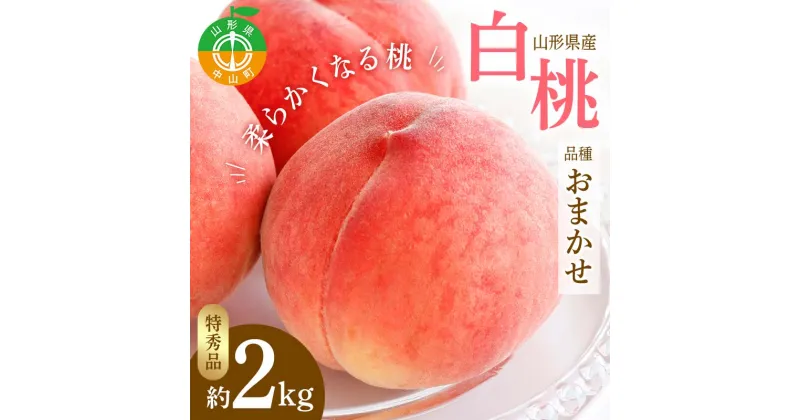 【ふるさと納税】 【令和7年産先行受付】山形県産 白桃 品種おまかせ 特秀品 柔らかくなる桃 約2kg（あかつき、陽夏妃、まどか、川中島白桃、かぐや、ゆうぞら、伊達白桃、あおぞら娘 他） F4A-0470