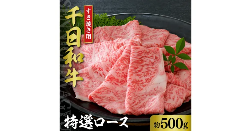 【ふるさと納税】山形牛 特選 ロース すき焼き用 約500g【黒毛和牛 ブランド和牛】牛肉 和牛 千日和牛 国産 山形県産 しゃぶしゃぶ お取り寄せ グルメ 冷凍 送料無料