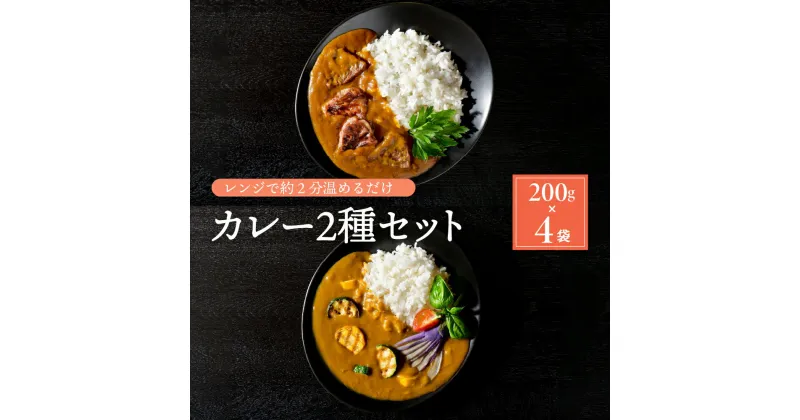 【ふるさと納税】 山形 和牛 カレー ( 200g ×2袋)と かほく イタリア ベジタブル カレー(200g×2袋)の セット