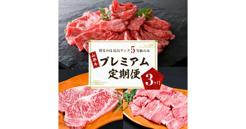 【ふるさと納税】【数量限定】 牛肉 山形牛 最高級 プレミアム 3ヶ月 定期便 最高ランク 5等級国産牛 黒毛和牛 ブランド牛 食べ比べ 大活躍 お楽しみ すき焼き 焼き肉 しゃぶしゃぶ ステーキ カタ モモ ロース サーロイン 赤身 お取り寄せ グルメ 牛肉専門店 べごや