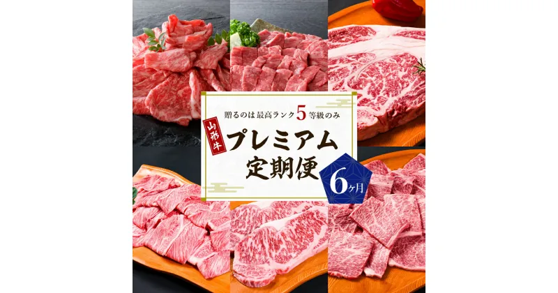 【ふるさと納税】【数量限定】 牛肉 山形牛 最高級 プレミアム 6ヶ月 定期便 最高ランク 5等級国産牛 ブランド牛 食べ比べ 大活躍 お楽しみ すき焼き 焼き肉 しゃぶしゃぶ ステーキ カタ モモ ロース カルビ サーロイン 赤身 お取り寄せ グルメ 牛肉専門店 べごや