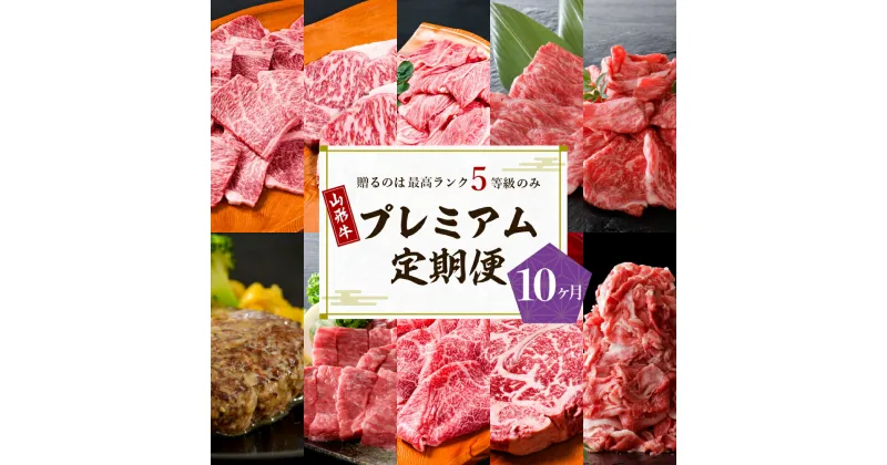 【ふるさと納税】【数量限定】 牛肉 山形牛 最高級 プレミアム 10ヶ月 定期便 最高ランク 5等級 国産牛 食べ比べ 大活躍 お楽しみ すき焼き 焼き肉 しゃぶしゃぶ ステーキ ハンバーグ カタ モモ サーロイン ロース 切落し 赤身 お取り寄せ グルメ 牛肉専門店 べごや