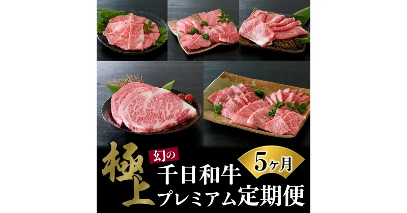 【ふるさと納税】【数量限定】山形牛 5ヶ月 肉 定期便【黒毛和牛 ブランド 和牛】牛肉 千日和牛 国産 山形県産 特選 すき焼 焼き肉 サーロイン ステーキ 上肩ロース 盛り合わせ お取り寄せ グルメ 冷凍 送料無料