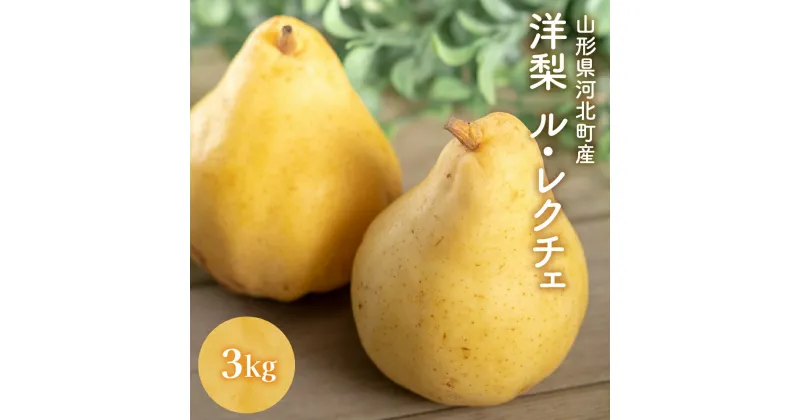 【ふるさと納税】※数量限定※ 【令和6年産】 洋梨 「 ル・レクチェ 」3kg 数量限定 フルーツ 山形県 河北町 産地 直送 送料 無料 贈答 ギフト【かほくらし社】