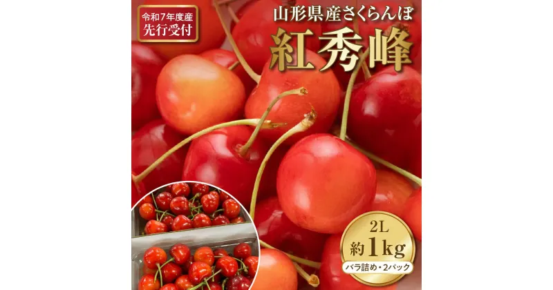 【ふるさと納税】【先行受付】令和7年産 さくらんぼ 紅秀峰 2L サイズ 1kg 以上 ( 500g バラ詰め × 2パック) 2025年発送 先行予約【晴天畑】山形 果物 果実 フルーツ お取り寄せ 送料無料 産地直送 山形県 河北町