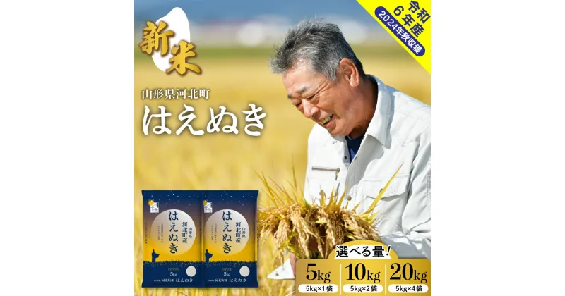 【ふるさと納税】【 令和6年産 米 】はえぬき 選べる 5kg / 10kg / 20kg 山形県産 先行予約発送時期が選べる 2024年産 新米 送料無料 山形県 河北町 先行受付 お米 白米 精米 こめ ごはん ご飯 おにぎり お取り寄せ グルメ 山形 産地直送 【米COMEかほく協同組合】