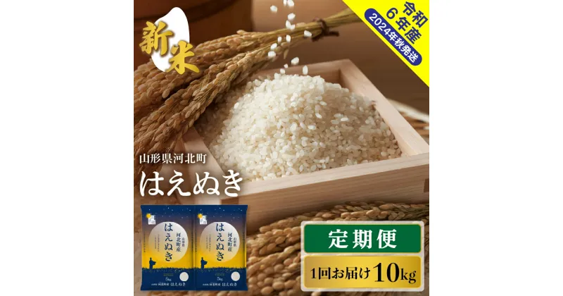 【ふるさと納税】【令和6年産】米 定期便 はえぬき 選べる 30kg 60kg 1回あたり 10kg ( 5kg × 2袋 ) 発送時期が選べる【米comeかほく】お米 白米 ブランド米 精米 米どころ 大人気 お取り寄せ グルメ 弁当 おにぎり オススメ 山形県 河北町