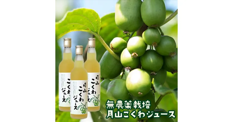 【ふるさと納税】月山こくわジュース 100％原液 さるなし コクワ 無農薬 酸味 山形県 西川町 FYN9-179