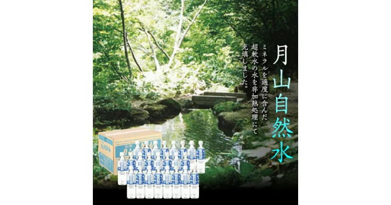 【ふるさと納税】月山自然水500ml×24本 天然水 国産 備蓄 防災 保存 ペットボトル ナチュラル 山形県 西川町 FYN9-013