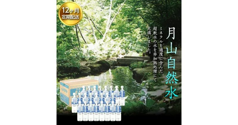 【ふるさと納税】【定期便】月山自然水500ml×24本×12ヶ月コース 天然水 国産 備蓄 防災 保存 ペットボトル ナチュラル 山形県 西川町 FYN9-014