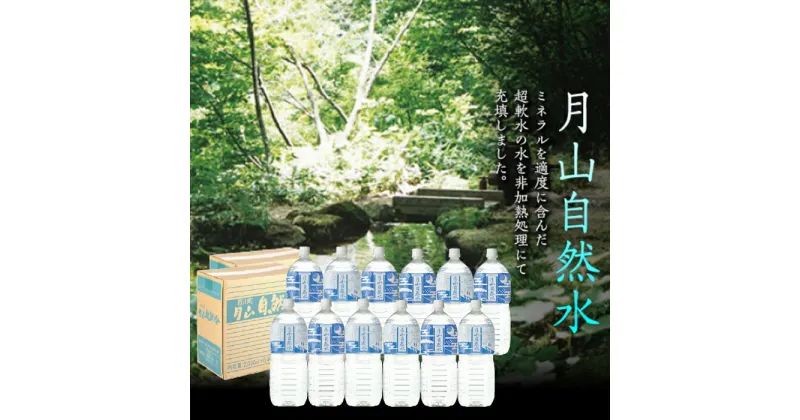 【ふるさと納税】月山自然水2L×6本×2箱 天然水 国産 備蓄 防災 保存 ペットボトル ナチュラル 山形県 西川町 FYN9-015