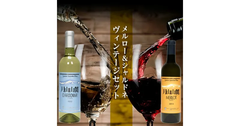 【ふるさと納税】【数量限定】月山山麓ワイン 赤・白 飲み比べ2本セット（メルロー・シャルドネヴィンテージ）720ml×2 ミディアムボディ 辛口 山形県 西川町 FYN9-745