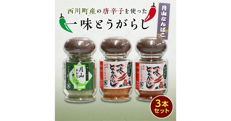 【ふるさと納税】山形県西川町 月山なんばこ (一味唐辛子) 3本セット 《9月中旬より発送》 激辛 一味 青唐辛子 とうがらし 香辛料 調味料 スパイス 辛い 山形県 西川町 FYN9-528