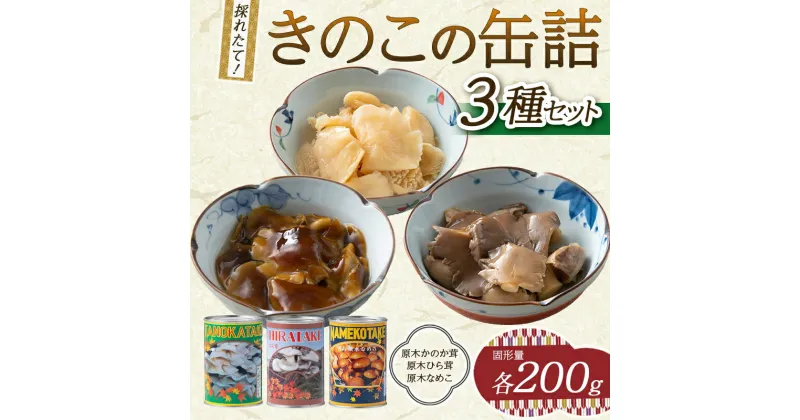 【ふるさと納税】きのこの缶詰3種セット（原木ひら茸・原木かのか・原木なめこ）（400g×3種） 水煮 加工食品 山形県 西川町 FYN9-544