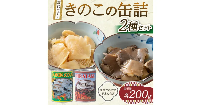 【ふるさと納税】きのこの缶詰2種セット（原木ひら茸・原木かのか茸）（400g×2種） 水煮 加工食品 山形県 西川町 FYN9-545