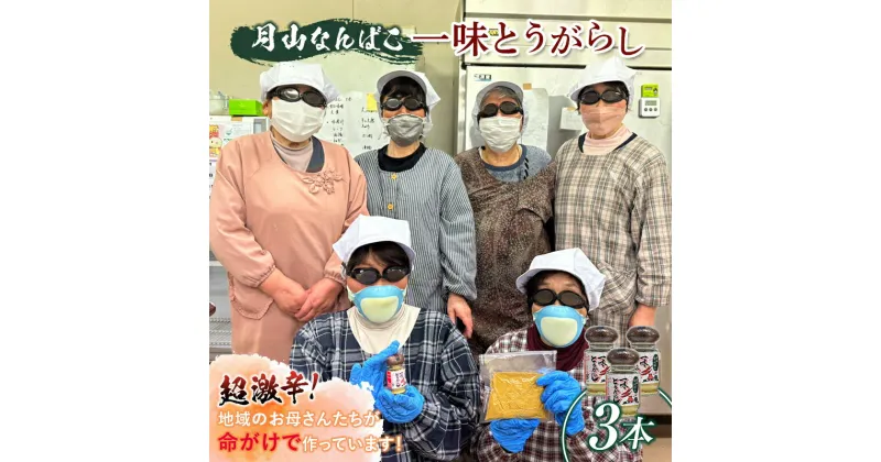 【ふるさと納税】山形県西川町産 月山なんばこ 超激辛 3本セット 香辛料 調味料 スパイス 辛い FYN9-733