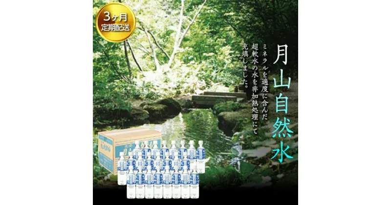 【ふるさと納税】【定期便】月山自然水500ml×24本×3ヶ月コース 天然水 国産 備蓄 防災 保存 ペットボトル ナチュラル 山形県 西川町 FYN9-729