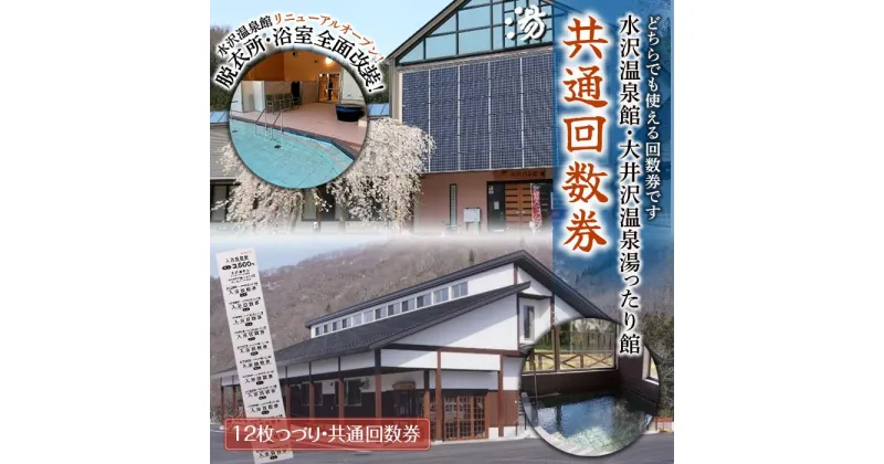 【ふるさと納税】水沢温泉館 大井沢温泉館 共通回数券 12枚つづり FYN9-804