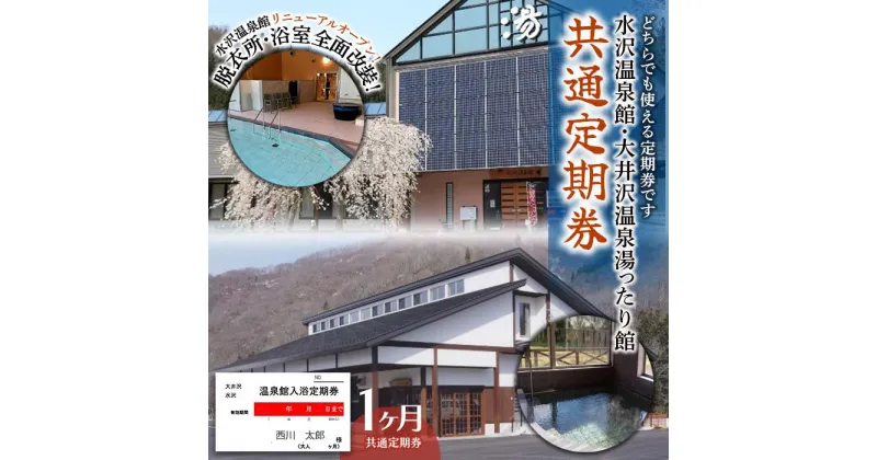 【ふるさと納税】水沢温泉館 大井沢温泉館 共通定期券（1ヶ月） FYN9-805