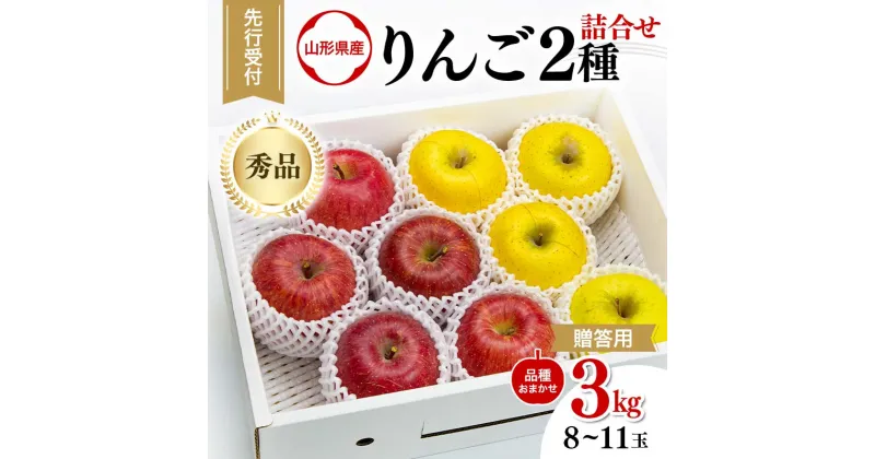 【ふるさと納税】 ≪先行予約≫ 贈答用 2024年 山形県産 りんご 品種おまかせ 2種詰合せ 秀品 3kg（8～11玉）2024年10月中旬から順次発送 2色 赤・黄 食べ比べ セット フルーツ 果物 りんご リンゴ 山形県 西川町 月山 FYN9-966