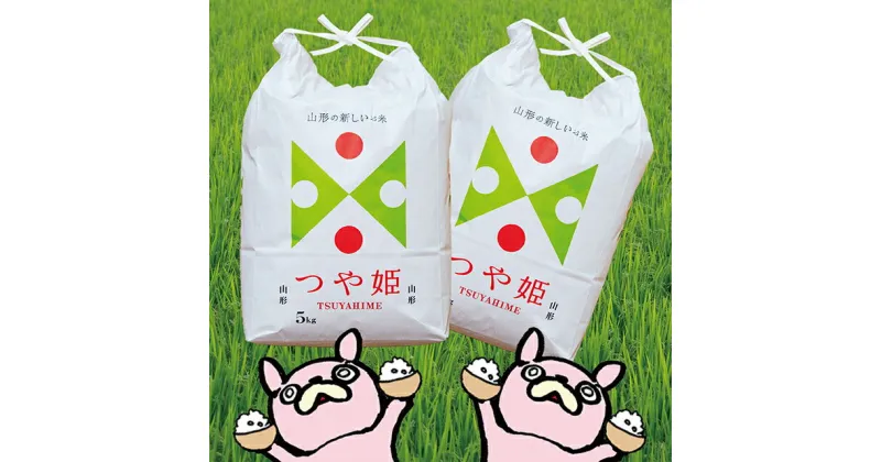 【ふるさと納税】米 つや姫 令和6年産 10kg（5kg×2袋） 精米 2024年産 こめ コメ 山形県 朝日町産 送料無料