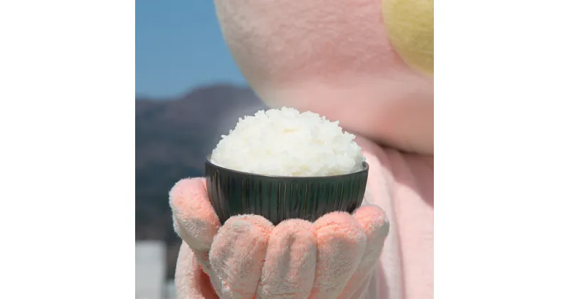 【ふるさと納税】 新米 令和6年産 山形県 朝日町産 米 つや姫・雪若丸 食べ比べ 10kg（各5kg×2種類） 2024年産 精米 こめ コメ 送料無料