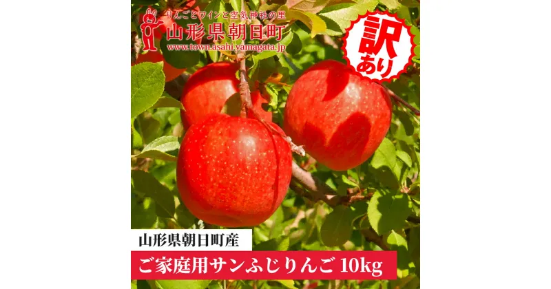 【ふるさと納税】りんご 山形県 朝日町産 ご家庭用 訳あり「サンふじ」10kg (36～46玉)　山形県産 特産 果物 フルーツ リンゴ 林檎 秋 冬 送料無料