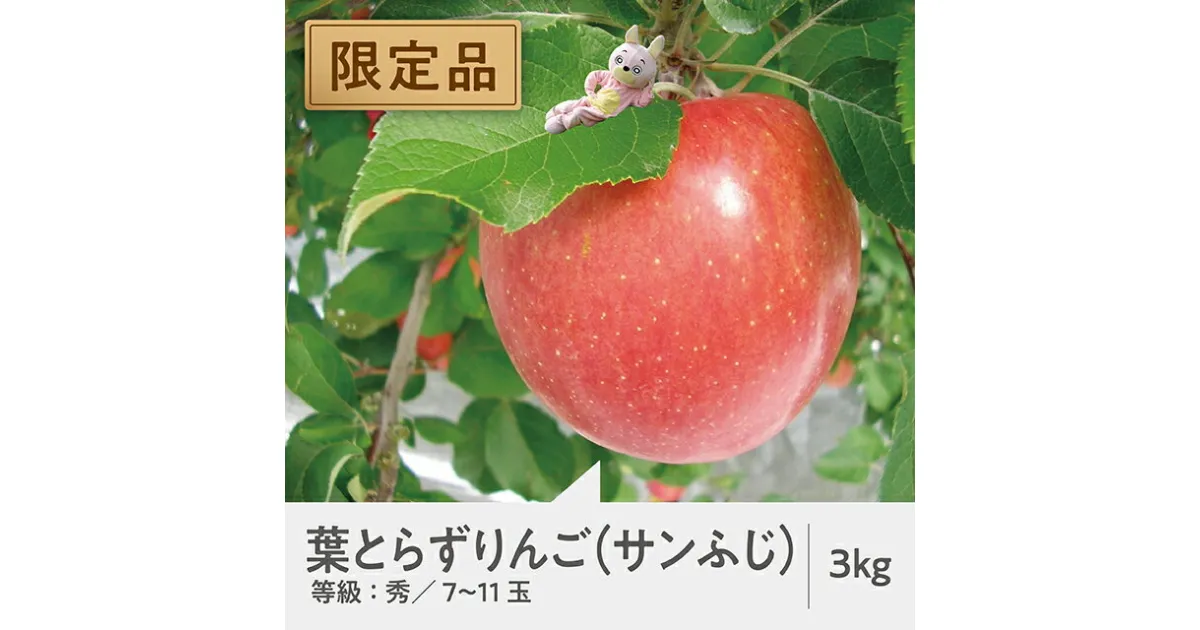 【ふるさと納税】葉とらずりんご 限定200箱 山形県 朝日町産 りんご サンふじ 秀品 3kg 約7～11玉 山形県産 特産 果物 フルーツ リンゴ 林檎 秋 冬 送料無料