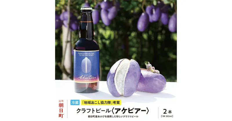 【ふるさと納税】アケビを使ったクラフトビール アケビアー 330ml×2本 箱入り あけび 送料無料