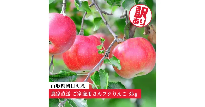 【ふるさと納税】りんご ご家庭用 訳あり 「サンふじ」3kg 農家直送 山形県 朝日町産 山形県産 特産 果物 フルーツ リンゴ 林檎 秋 冬 送料無料