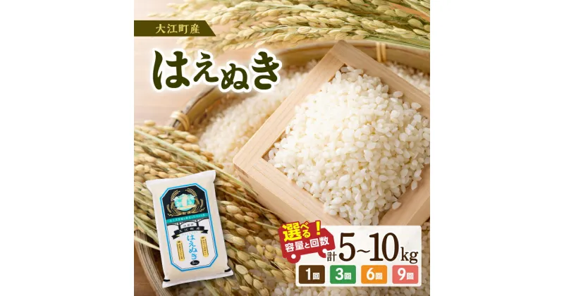 【ふるさと納税】大江町産 はえぬき 選べる内容量・配送回数(5kg〜90kg) 令和6年産 米 ブランド米 お米 精米 単品 定期便