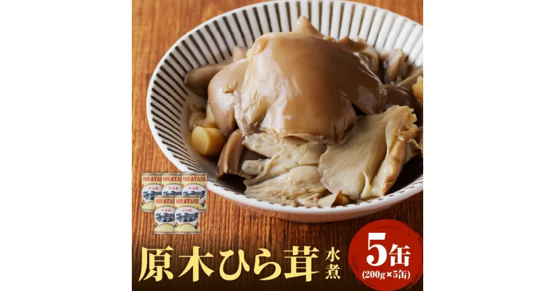 【ふるさと納税】大江町柳川産 原木ひら茸水煮200g×5缶(固形量）