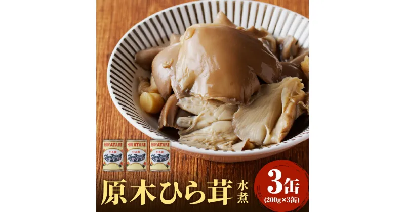 【ふるさと納税】大江町柳川産 原木ひら茸水煮200g×3缶（固形量）