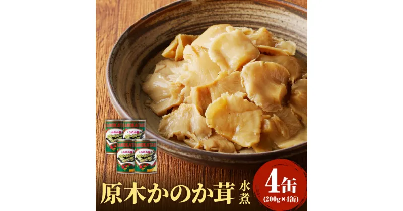 【ふるさと納税】大江町柳川産 原木かのか茸（ブナハリタケ）水煮200g×4缶(固形量）