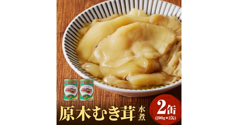 【ふるさと納税】大江町柳川産 原木むき茸水煮200g×2缶（固形量）