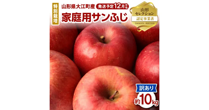 【ふるさと納税】《先行予約》特別栽培 訳あり 家庭用サンふじ約10kg 【2024年12月中旬頃〜発送予定】山形りんご 大江町産 鈴木果樹園 りんご リンゴ 林檎 果物 フルーツ 産地直送