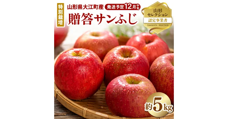 【ふるさと納税】《先行予約》特別栽培 贈答規格 サンふじ約5kg 【2024年12月中旬頃〜発送予定】糖度14度以上 山形セレクション認定品 山形りんご 鈴木果樹園 りんご リンゴ 林檎 果物 フルーツ 産地直送 プレゼント