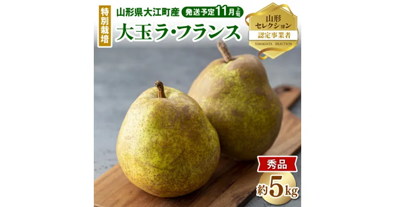 【ふるさと納税】《先行予約》特別栽培 大玉 ラ・フランス 約5kg・秀品4L〜3L 【2024年11月上旬頃〜発送予定】糖度13度以上 山形洋梨 大江町産 鈴木果樹園 ラフランス 洋梨 洋なし 果物 フルーツ 産地直送