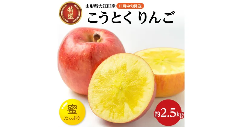 【ふるさと納税】《先行予約》特選こうとくりんご約2.5kg 【2024年11月中旬頃〜発送予定】大江町産 山形 りんご 大地農産 11月・12月 希少 幻のりんご こうとく リンゴ 林檎 果物 フルーツ 産地直送