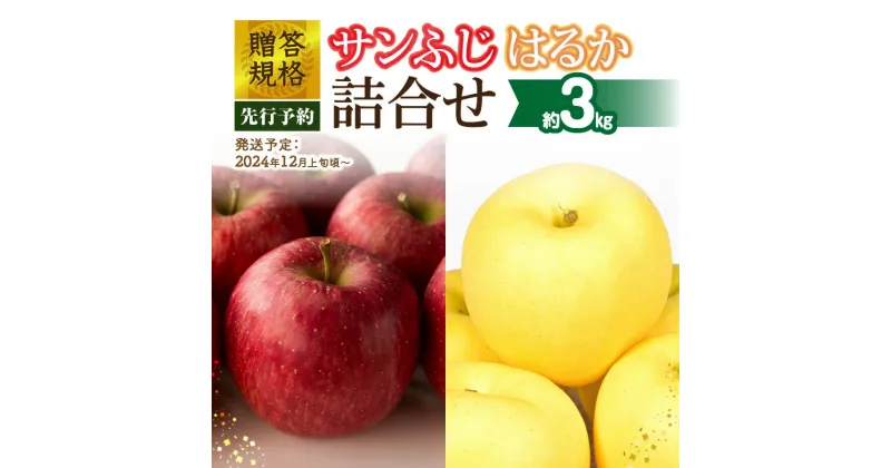 【ふるさと納税】《先行予約》贈答規格「サンふじ」「はるか」約3kg詰合せ（特秀〜秀）【2024年12月上旬頃〜発送予定】大江町産 山形りんご りんご専科 清野 詰合せ リンゴ 林檎 フルーツ 果物 産地直送