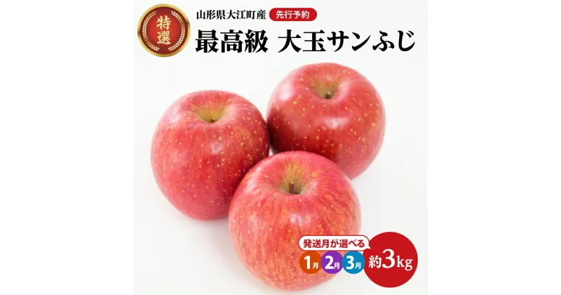 【ふるさと納税】《先行予約》最高級 特選大玉サンふじ約3kg 選べるお届け時期 1月 2月 3月 【大江町産・山形りんご・大地農産】 大江町産 山形 りんご 大地農産 サンふじ アップル リンゴ 林檎 果物 フルーツ 産地直送