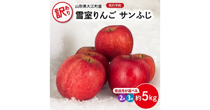 【ふるさと納税】《先行予約》訳あり 雪室りんごサンふじ 約5kg 選べるお届け時期 2月 3月 【大江町産・山形りんご・大地農産】 大江町産 山形 りんご 大地農産 サンふじ アップル リンゴ 林檎 果物 フルーツ 産地直送