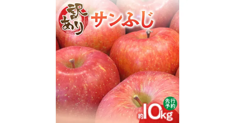 【ふるさと納税】≪先行予約≫【訳あり】サンふじ10kg 28～40玉【2024年12月中旬より発送予定】りんご リンゴ 10kg 訳あり フルーツ 果物 産地直送