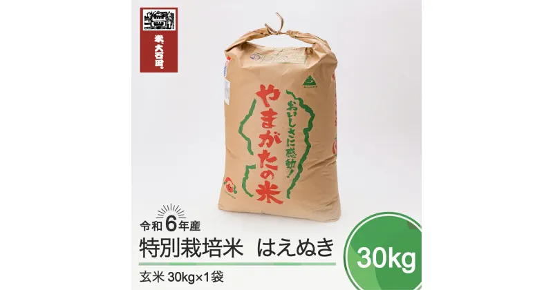 【ふるさと納税】 米 新米 令和6年産 はえぬき30kg 大石田町産 特別栽培米 玄米 送料無料 ※沖縄・離島への配送不可 ja-hagxb30